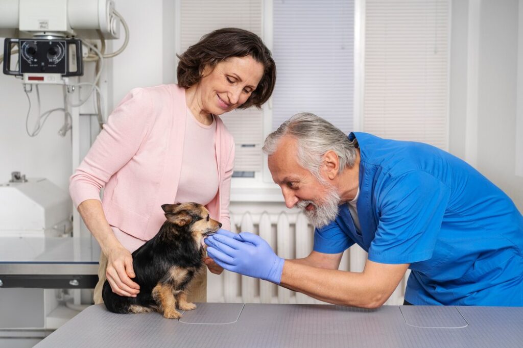 Veterinary doctor taking care of pet