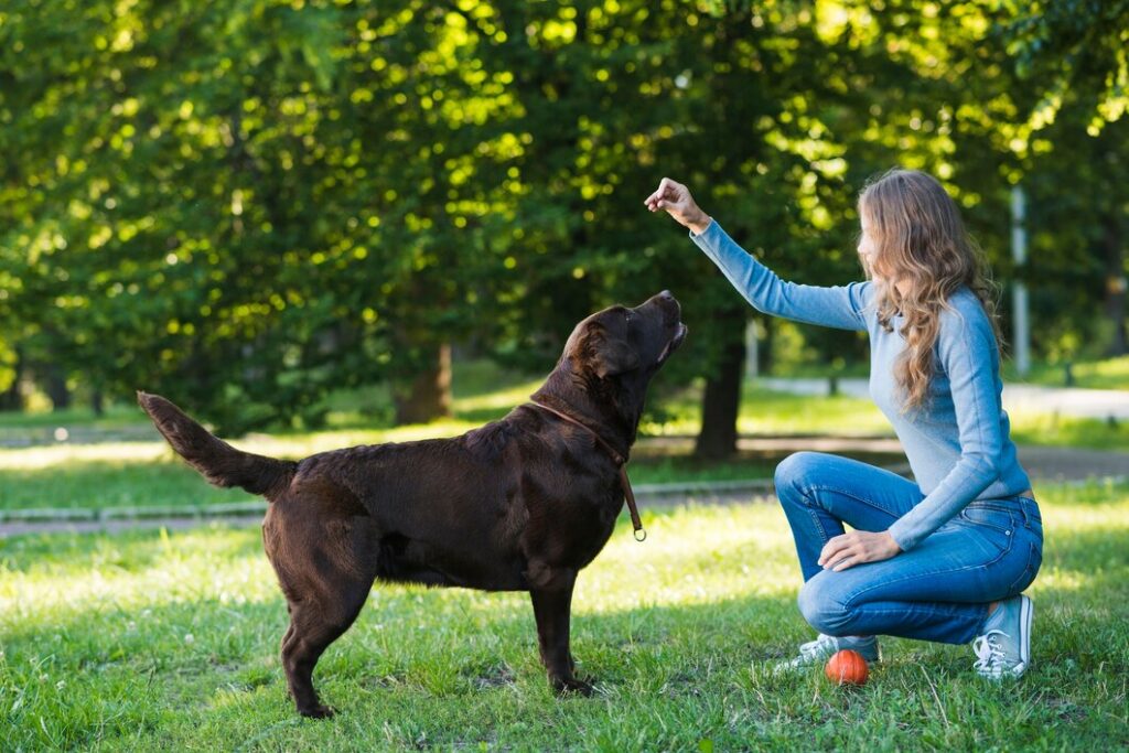 Side view of a woman playing with her dog in park