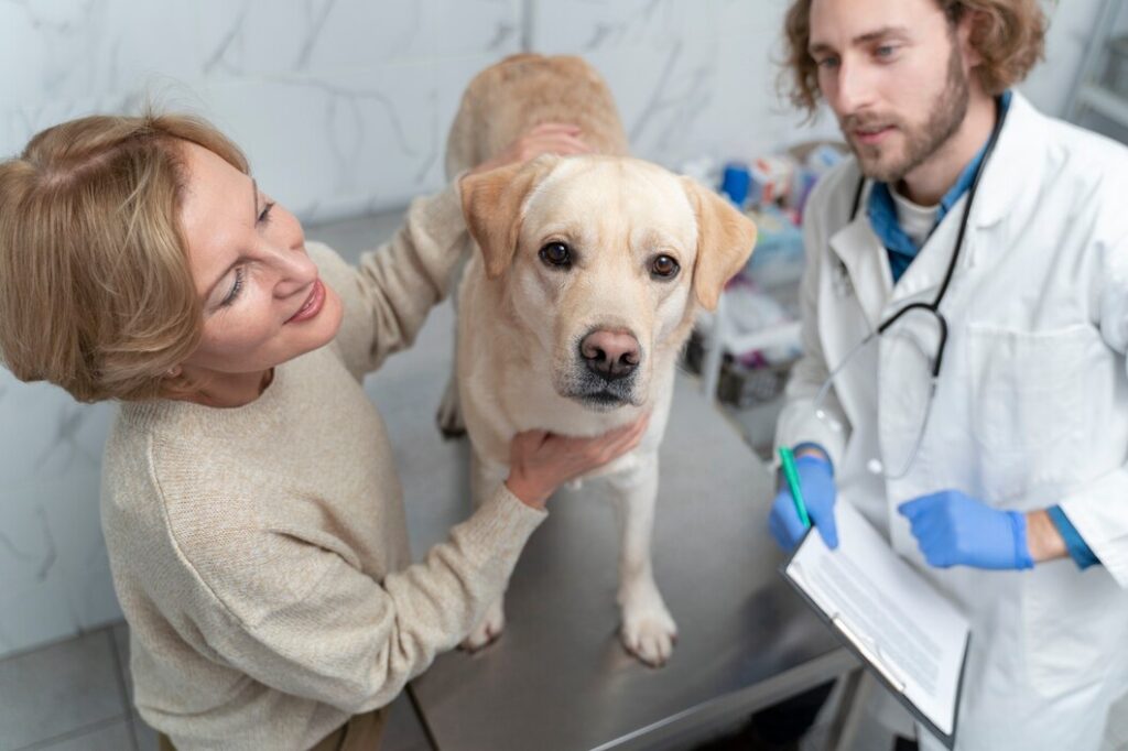 cute dog at vet clinic check-up