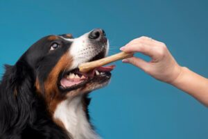 dog dental treats