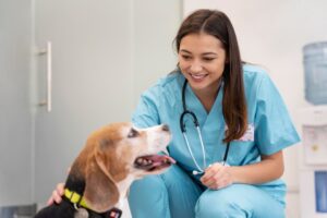 Pet Insurance for Emergency Vet Visits